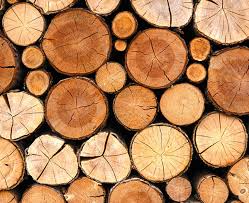 Round Non Polished Teak Wood Logs, for Boats, Door, Making Furniture, Pattern : Plain, Printed
