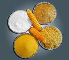 Maize starch, for Animal Food, Bio-fuel Application, Cattle Feed, Human Food, Making Popcorn, Style : Dried