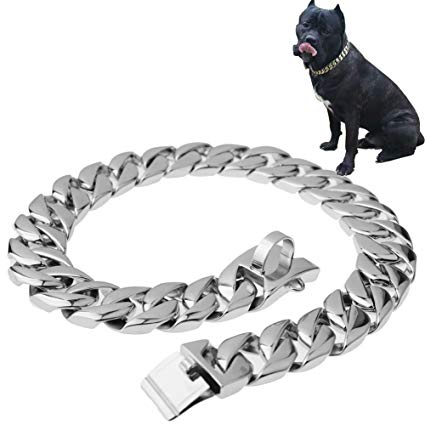 dog chain price