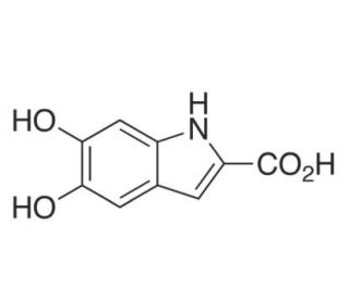 5,6-Dihydroxyindole-2-Carboxylic Acid, Purity : 99%