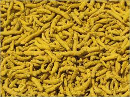 Organic Dry Turmeric Finger, for Herbal Products, Medicine, Form : Solid