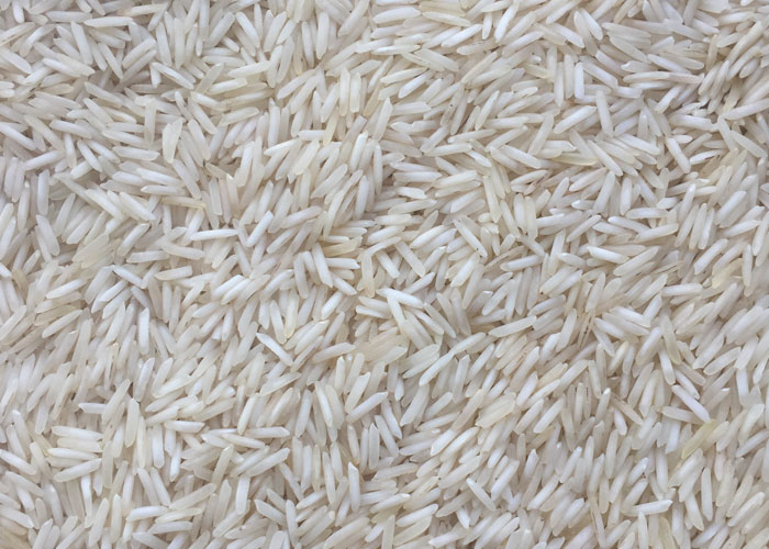 Hard Organic 1509 Steam Basmati Rice, for Gluten Free, High In Protein, Variety : Long Grain