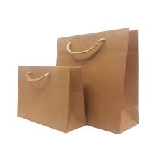 RANUR Disposable Brown Kraft Paper Bags Twisted Paper Handles it is Gifting  or Thank You Bags for Return Gift Shopping Cloths Veggies Packing Capacity  Upto 5Kg Size 8 X 115 X 4