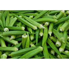 Common Fresh Lady Finger, for Cooking, Human Consumption, Feature : Freshness, Pesticide Free