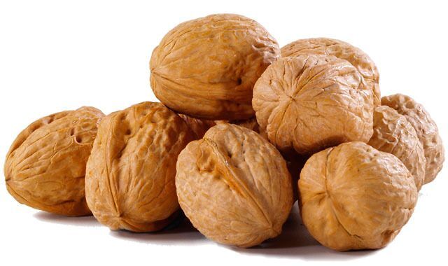 walnut