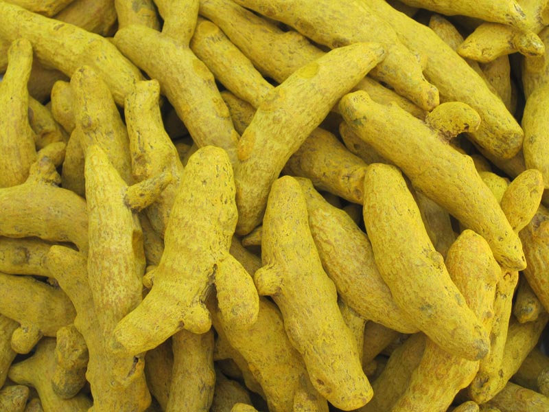 Organic Rajapuri Turmeric Finger, Color : Yellow