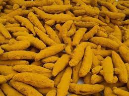 Organic Salem Turmeric Finger, Shelf Life : 6months