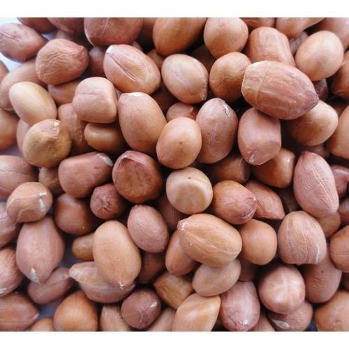 Natural Bold Groundnut Seeds, for Cooking, Food, Medicinal, Style : Dried