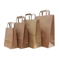 Paper Handle Carry Bags