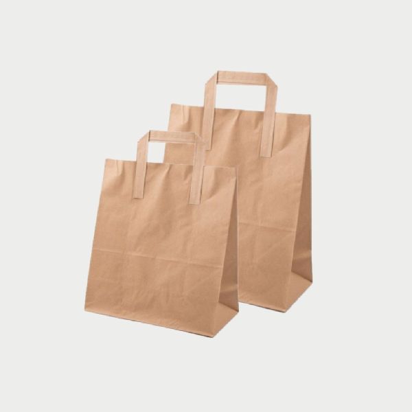 Plain Paper Carry Bags, for Shopping, Carry Capacity : 1kg, 2kg