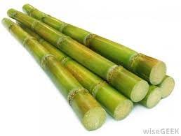 Natural Sugarcane, for Jaggery, Size : 0-5ft, 5-10ft