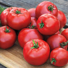 Organic Hybrid Tomato, Color : Red