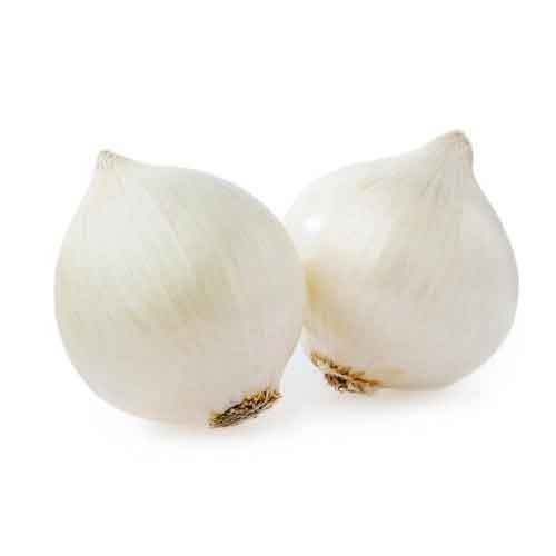 Oval Organic Fresh White Onion, Style : Natural