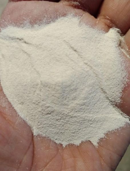 Purified Terephthalic Acid