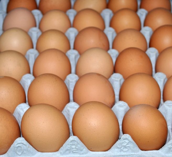 Brown Eggs, Packaging Type : Caret