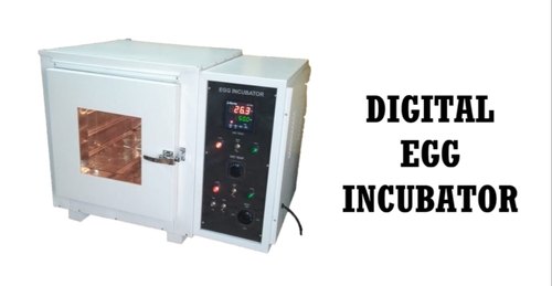 Egg Incubator, Voltage : 220V, 230V