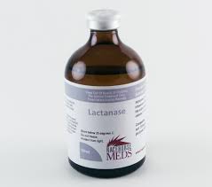 100ml Lactanase injections