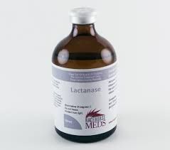 100ml Lactanase injections