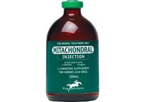 100ml Mitachondral Injections