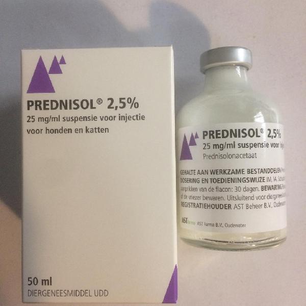 50ml Prednisol injections