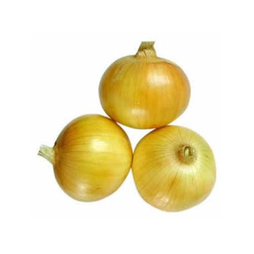 Oval-Round yellow onion, for Human Consumption, Packaging Type : Jute Bags