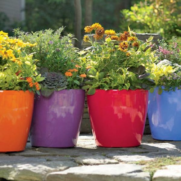 Outdoor Colored Flower Pots