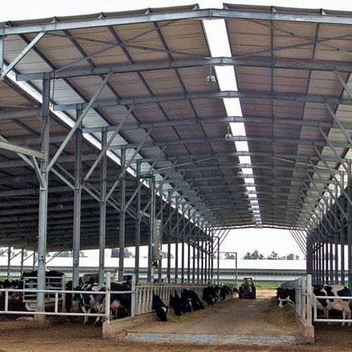 Non Polished Metal Dairy Farm Sheds, for Weather Protection, Feature : Good Quality, Tamper Proof