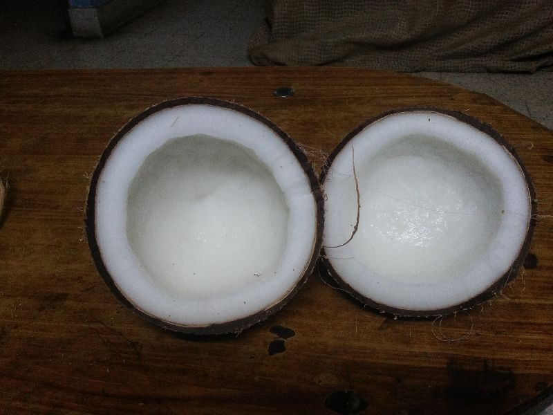Semi husked coconut And dry coconut