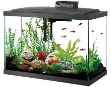 Glass aquarium, for Home, Hotel, Office, Restaurant, Size : 3x3x2feet, 4x4x3feet, 5x5x4feet, 6x6x5feet