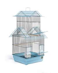 0-3Kg Glass Bird Cages, Grill Material : Metal, Mild Steel
