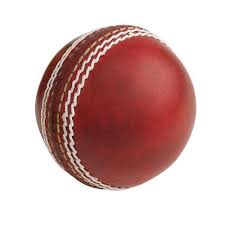 Cosco Plain Leather Cricket Balls, Size : Standard