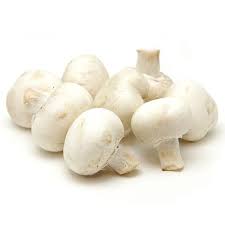 Organic mushroom, for Cooking, Oil Extraction, Packaging Type : Plastic Bag, Polythene Bag