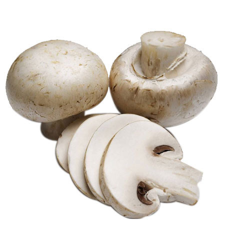 Common mushroom slice, for Cooking, Oil Extraction, Packaging Type : Plastic Bag, Plastic Container