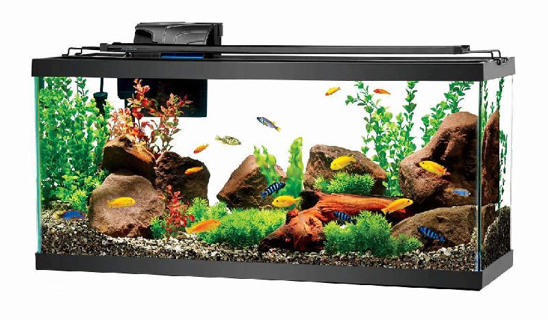 Acrylic fish tank, for Decoration, Feature : Durable, Reinforced Pvc Liner, Stocked, Light-weight