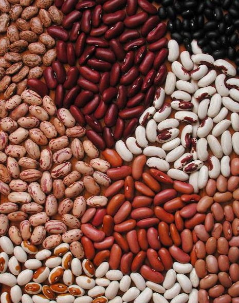 Natural Kidney Beans