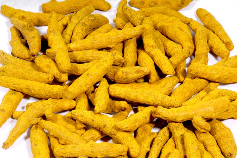 Natural Turmeric Finger