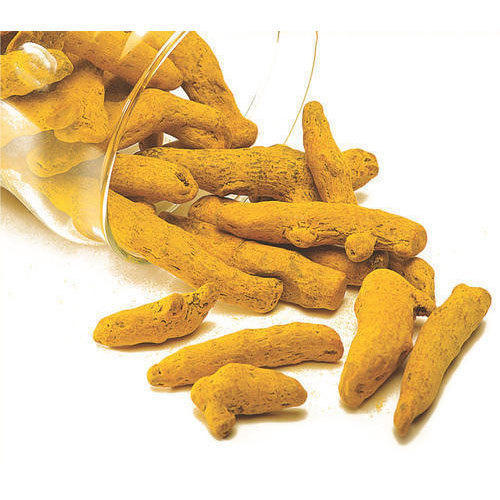 Raw Turmeric Finger