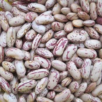 Speckled Kidney Beans