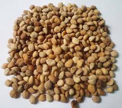 Natural Ashwagandha Seeds