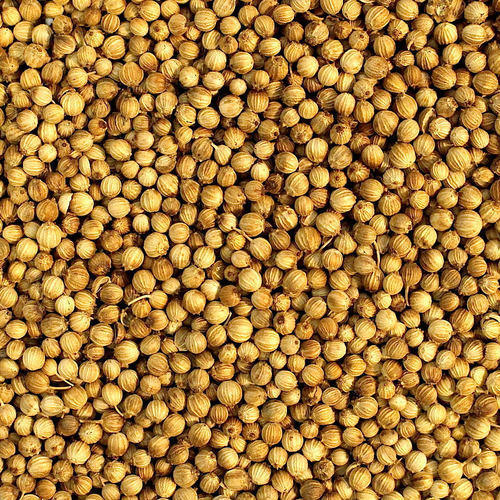 Natural coriander seeds, for Cooking, Food, Certification : FSSAI