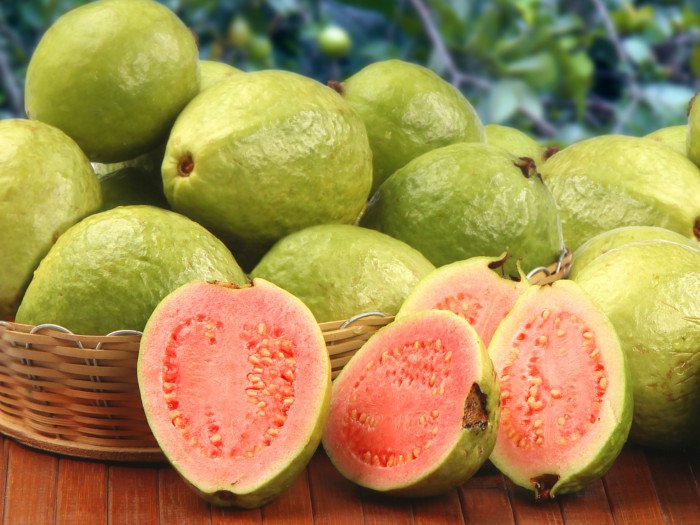Common fresh guava, Packaging Type : Boxes, Carton Box, Wooden Box