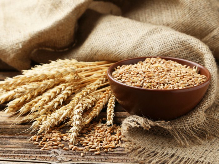 Natural Wheat Seeds, Purity : 99%