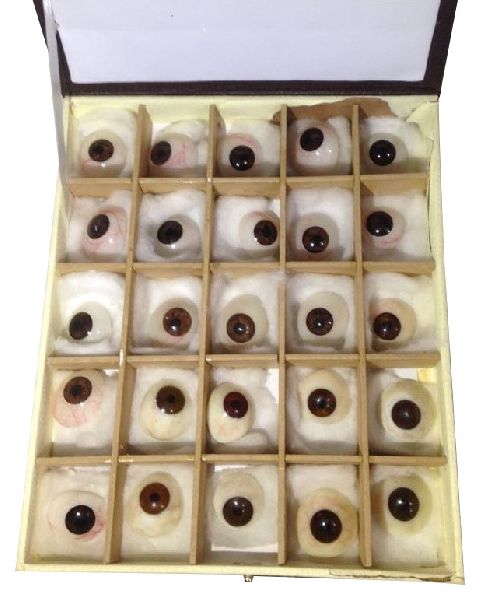 Acrylic Dr.Onic Prosthetics Eyes, Packaging Type : Export