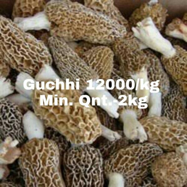 Guchhi Herb