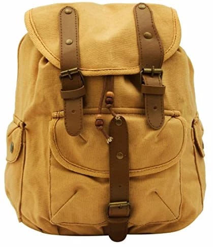 Canvas Leather Stylish Backpacks
