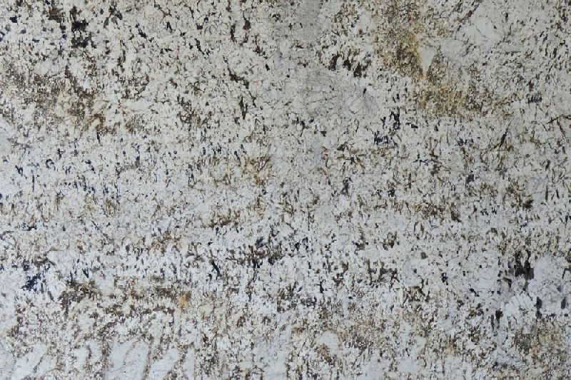 Alaska White Gold Granite Slab, Size : 48x48Inch