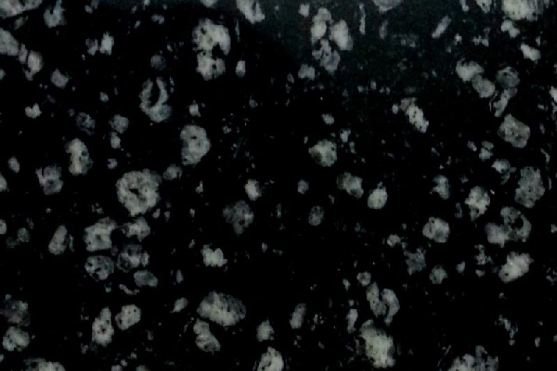 Polished Coin Black Granite Slab, Size : 12x12ft, 12x16ft, 18x18ft