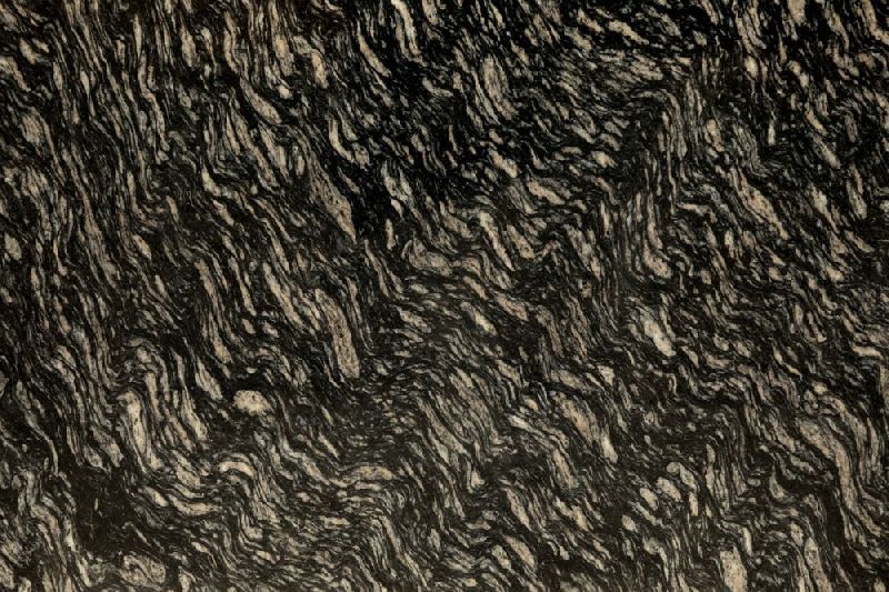 Zebra Black Granite Slab