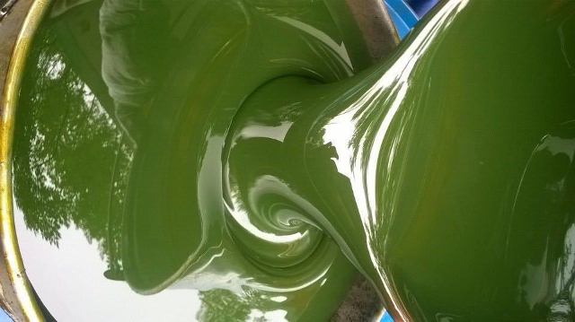 Rubber Processing Oil, for Industrial, Purity : 100%