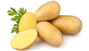 Common fresh potato, for Cooking, Feature : Healthy, Non Harmul